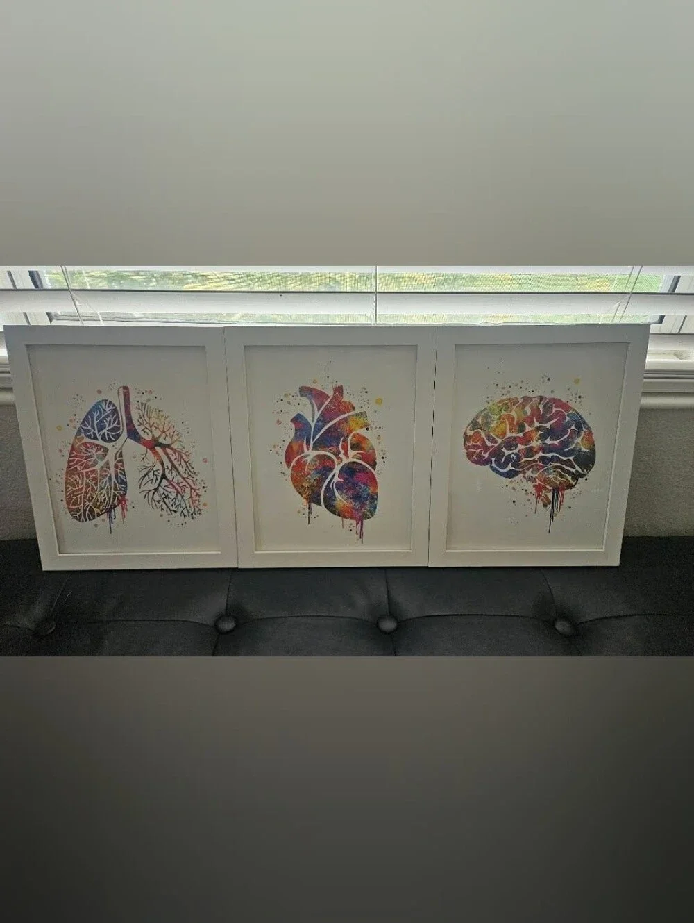 Multicolor Anatomical Art Prints - Lungs, Heart & Brain Wall Decor
